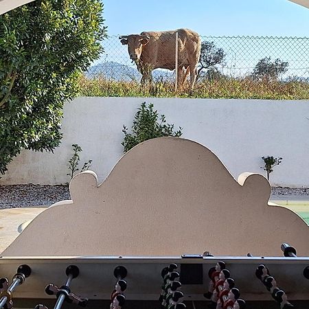 Portela Guesthouse Cercal do Alentejo Экстерьер фото