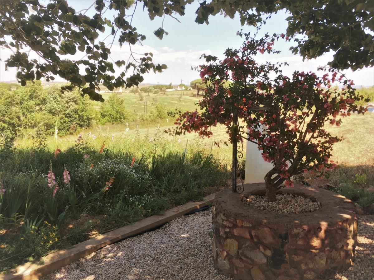 Portela Guesthouse Cercal do Alentejo Экстерьер фото