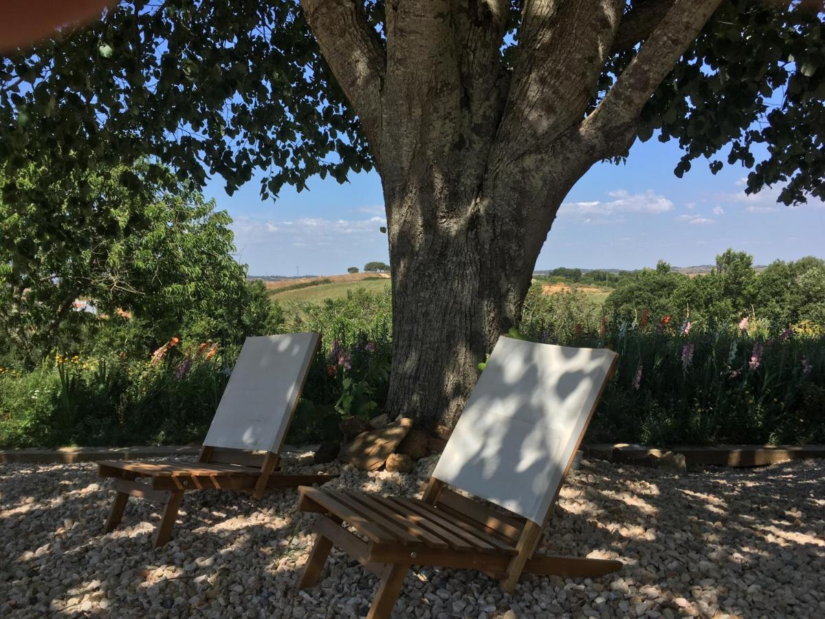 Portela Guesthouse Cercal do Alentejo Экстерьер фото