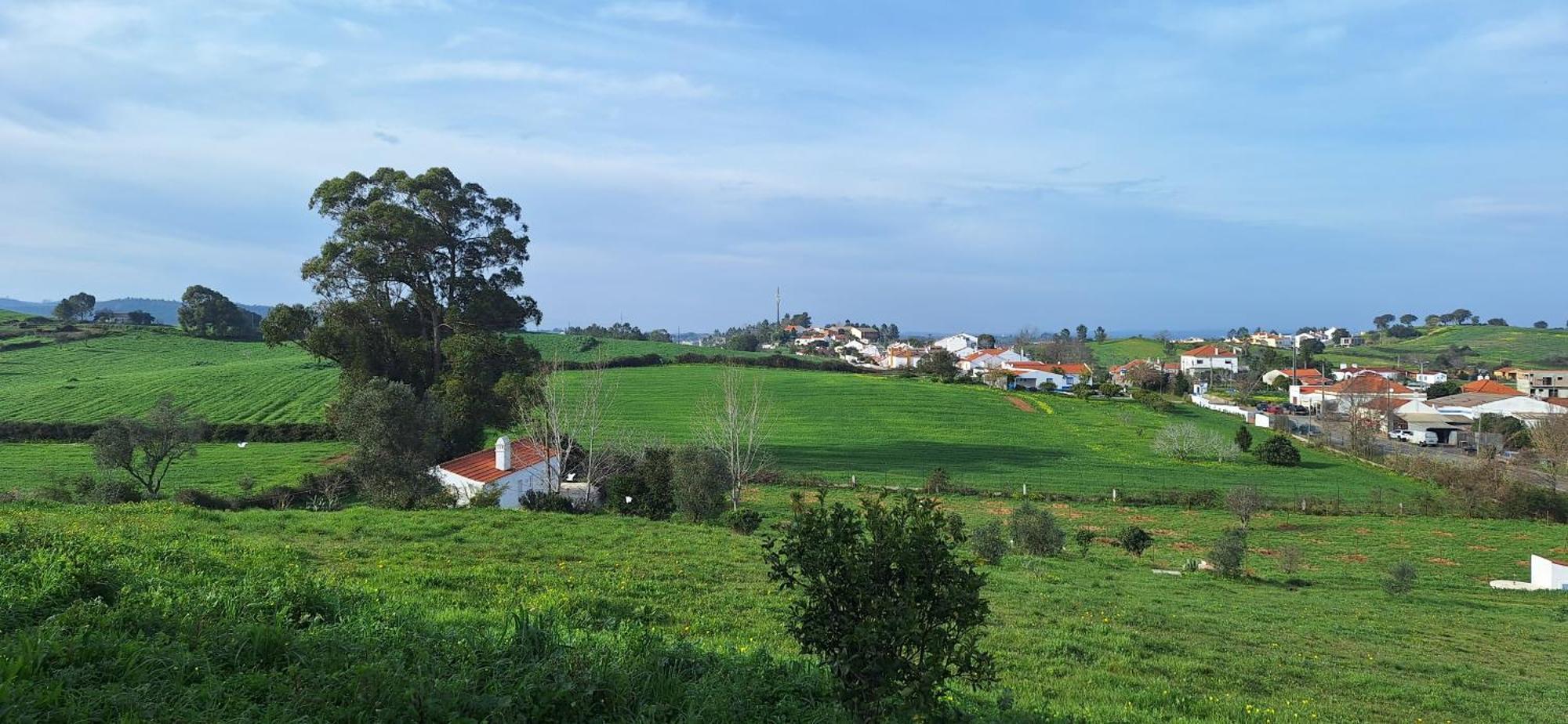 Portela Guesthouse Cercal do Alentejo Экстерьер фото