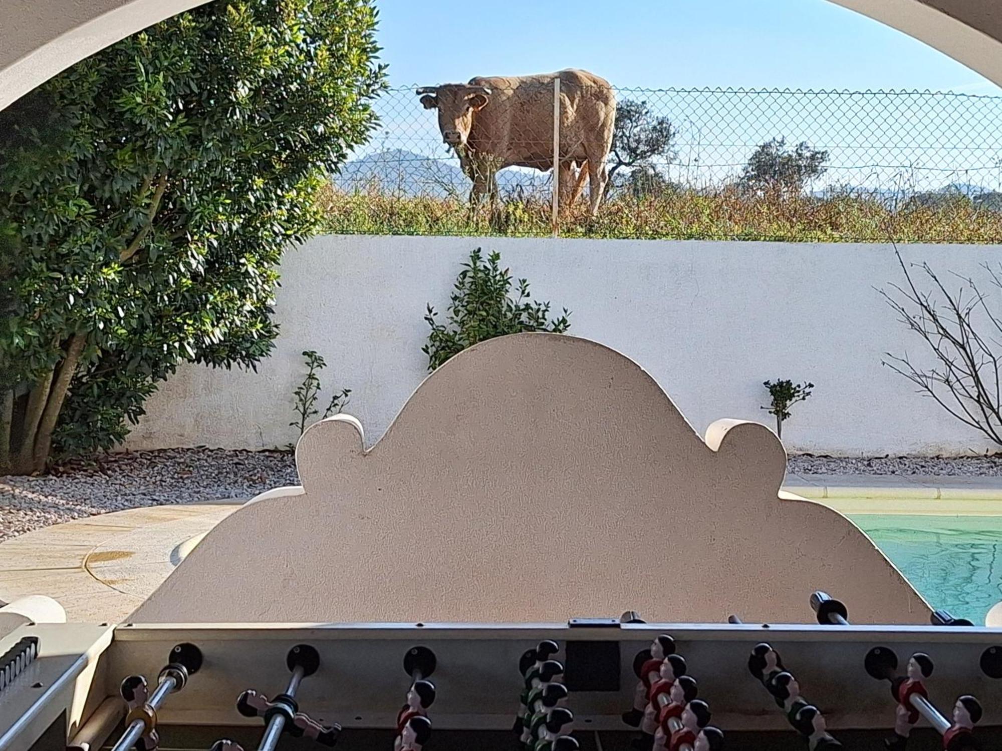 Portela Guesthouse Cercal do Alentejo Экстерьер фото