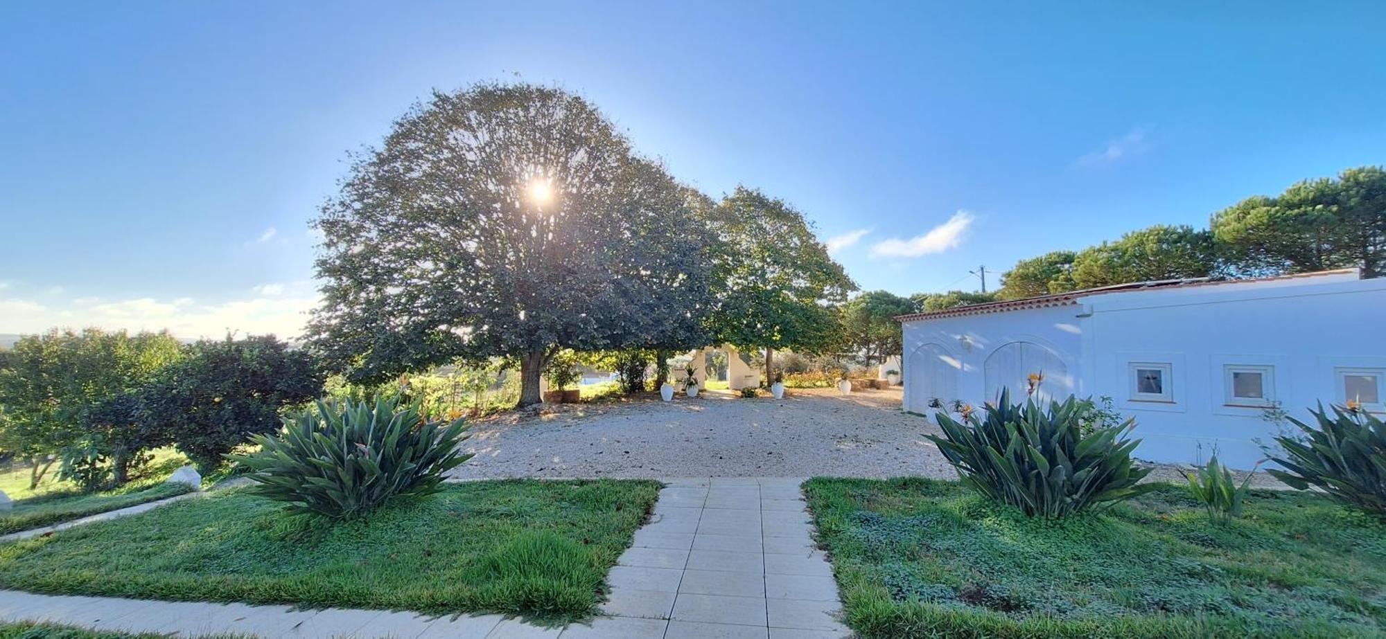 Portela Guesthouse Cercal do Alentejo Экстерьер фото